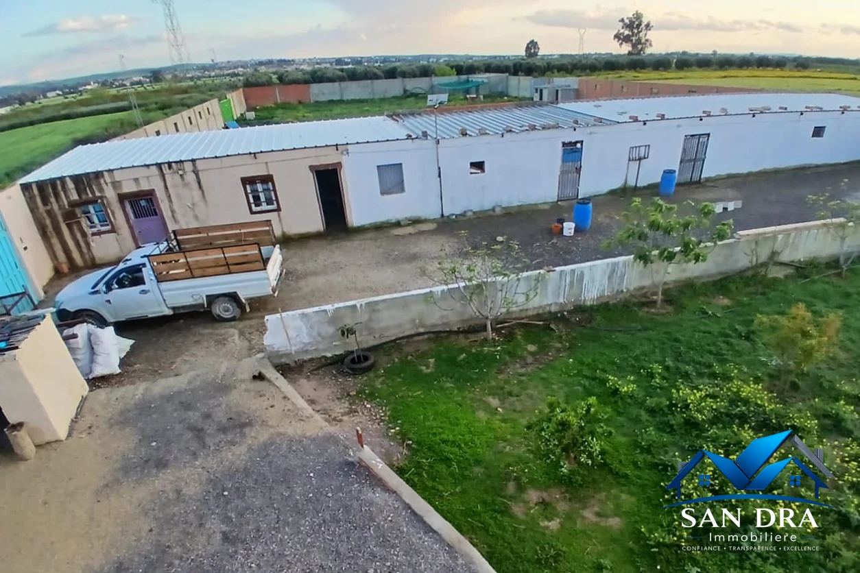 Terrain agricole à vendre à Bejaoua, Oued Ellil – 1 hectare avec maison S+2