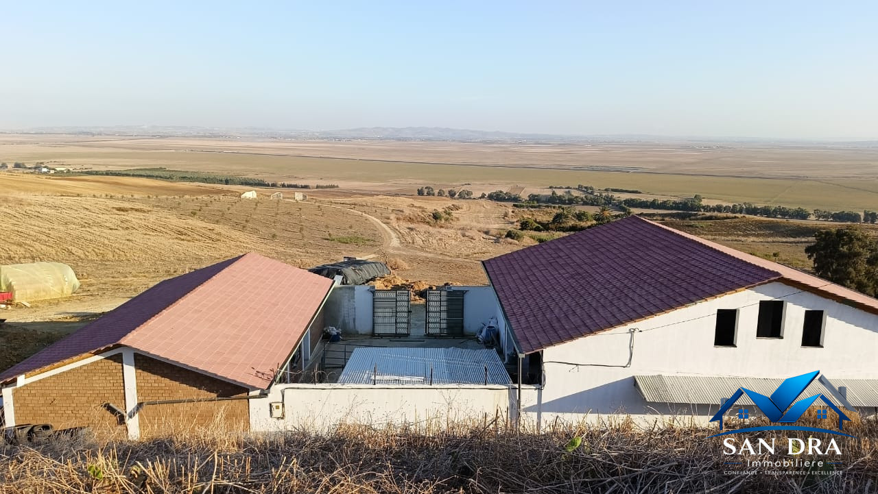 À VENDRE – Ferme de 21 hectares à Ouechtata, Bizerte